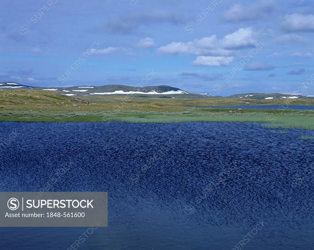 Lake on the Hardangervidda plateau, Fjell, Hordaland, Norway, Scandinavia, Europe