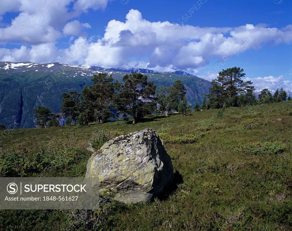 Large boulder in the landscape above Aurlandsfjord, Aurland, Sogn og Fjordane, Norway, Scandinavia, Europe