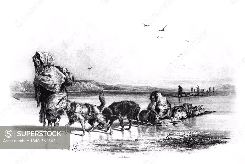 Dogsled of the Mandan Indians, illustration from Travels in the Interior of North America, 1832-1834, by Prince Maximilian of Wied, illustrations by C...