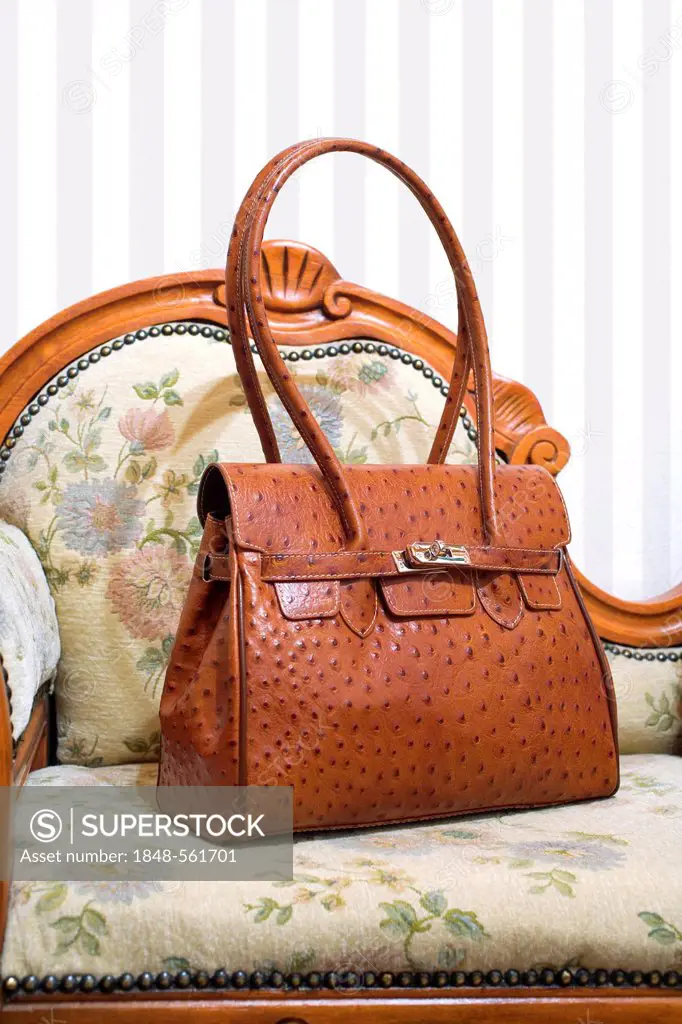 Elegant ostrich leather handbag on an antique sofa