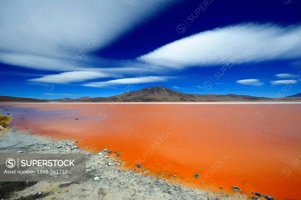 Laguna Colorada lagoon with red water and clouds in the sky, Uyuni, Bolivia, South America