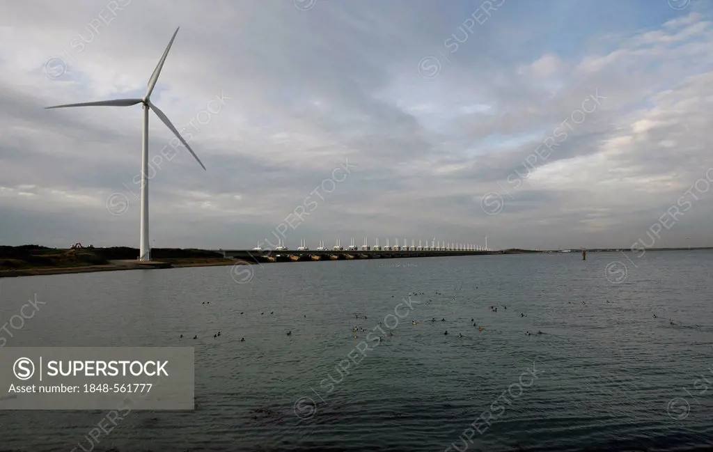 Wind turbine near Kamperland, Zeeland, Holland, Netherlands, Europe