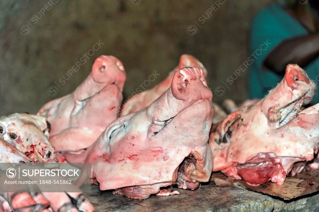 Pig heads, meat sale at the weekly market, centre of Havana, Centro Habana, Cuba, Greater Antilles, Caribbean, Central America, America