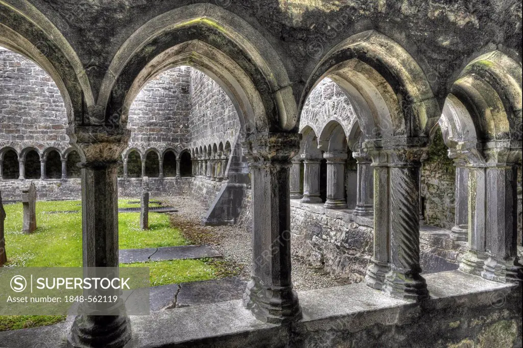 Cloister, Sligo Abbey, Sligo, County Sligo, Connacht, Ireland, Europe