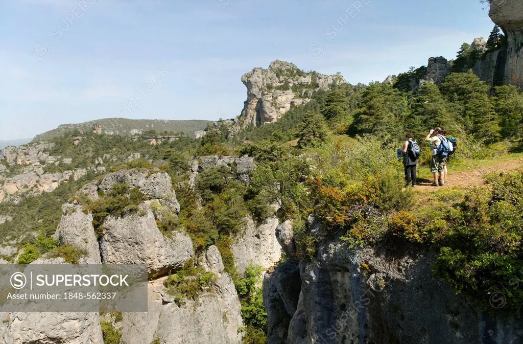 Gorges de la Jonte, the Causses and the Cevennes, Mediterranean agro pastoral cultural landscape, UNESCO World Heritage, Lozere, France, Europe