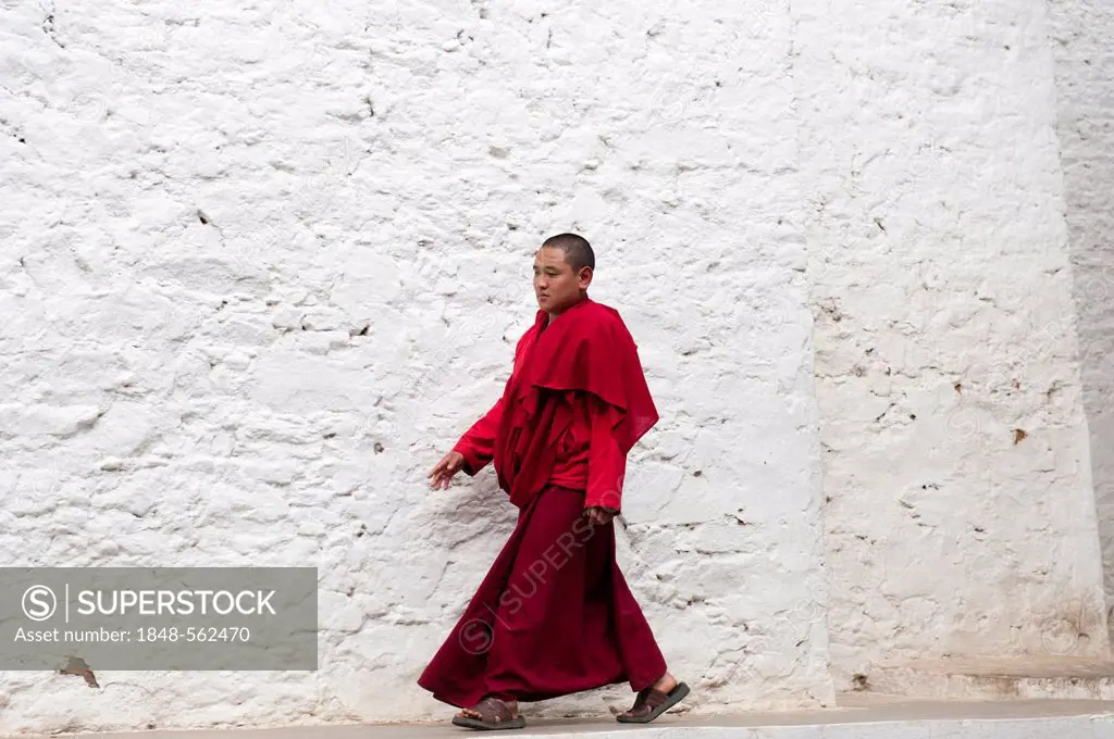 Tibetan Buddhism, monk in a red robe walking in front of a white wall, Tango Goemba Monastery, near Thimphu, the Himalayas, Kingdom of Bhutan, South A...