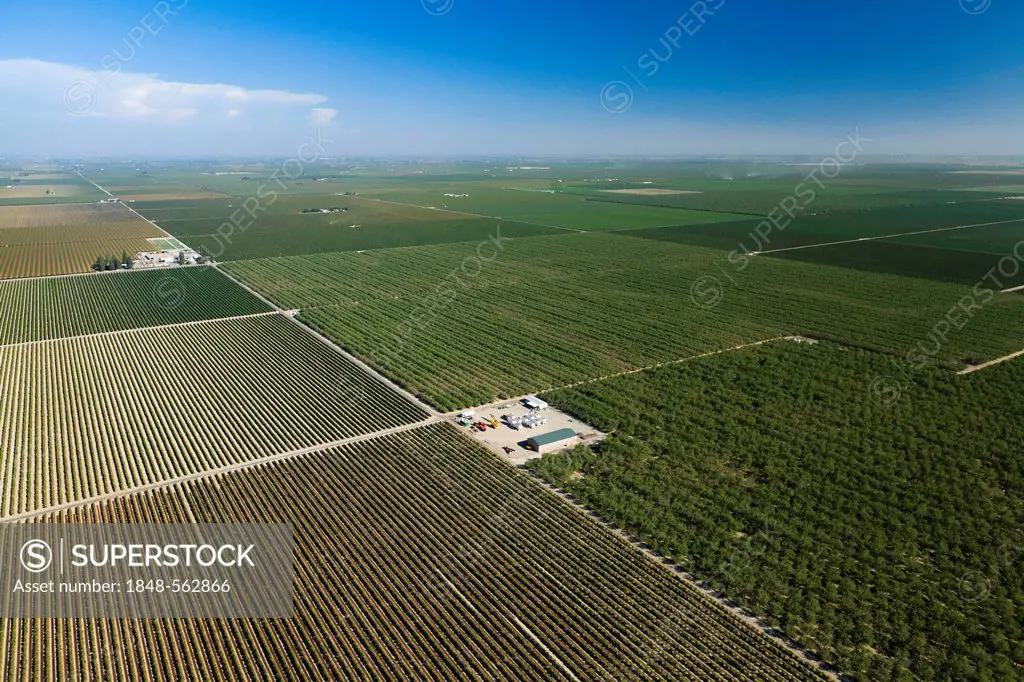 Aerial view of farmland in Central Valley, Fresno, California, USA, North America