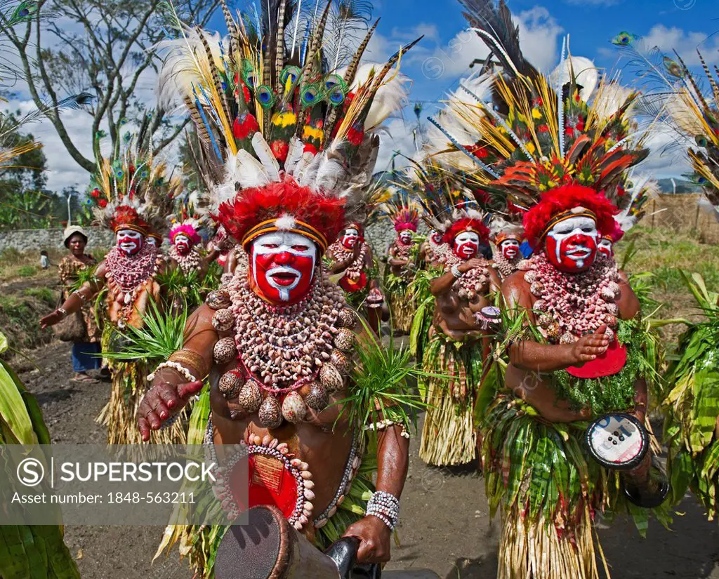 Kunai Sing-sing group from Hagen, with Papuan Lorikeet birds and birds of paradise feathers in headdress, performing at the Hagen Show, Western Highla...