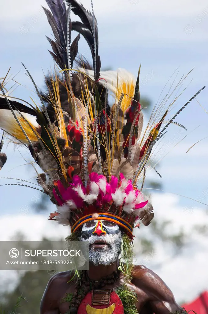 Tribal performer at a Sing-sing, Mt Hagen Show, Western Highlands, Papua New Guinea, Oceania