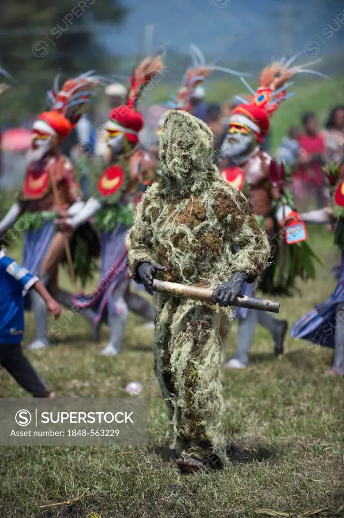 Grassman from Western Highlands, at a Sing-sing, Mt Hagen Show, Western Highlands, Papua New Guinea, Oceania