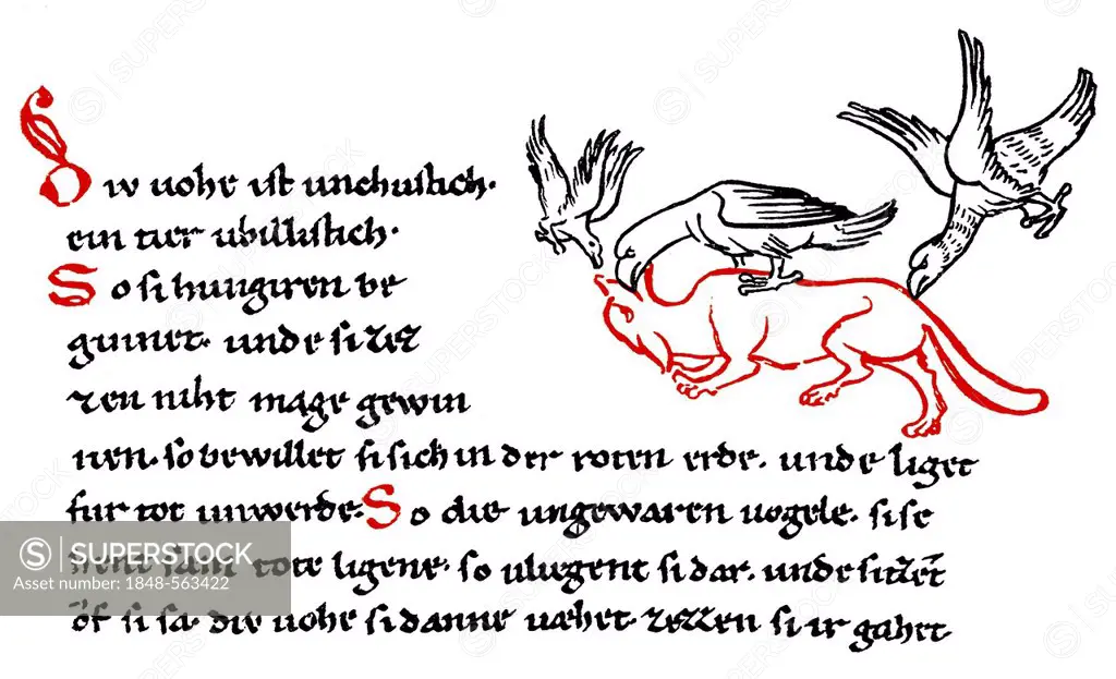 Historic print, Millstaett Manuscript, an illustrated manuscript written in southern Bavarian Early Middle High German, 12th Century, from the Illustr...