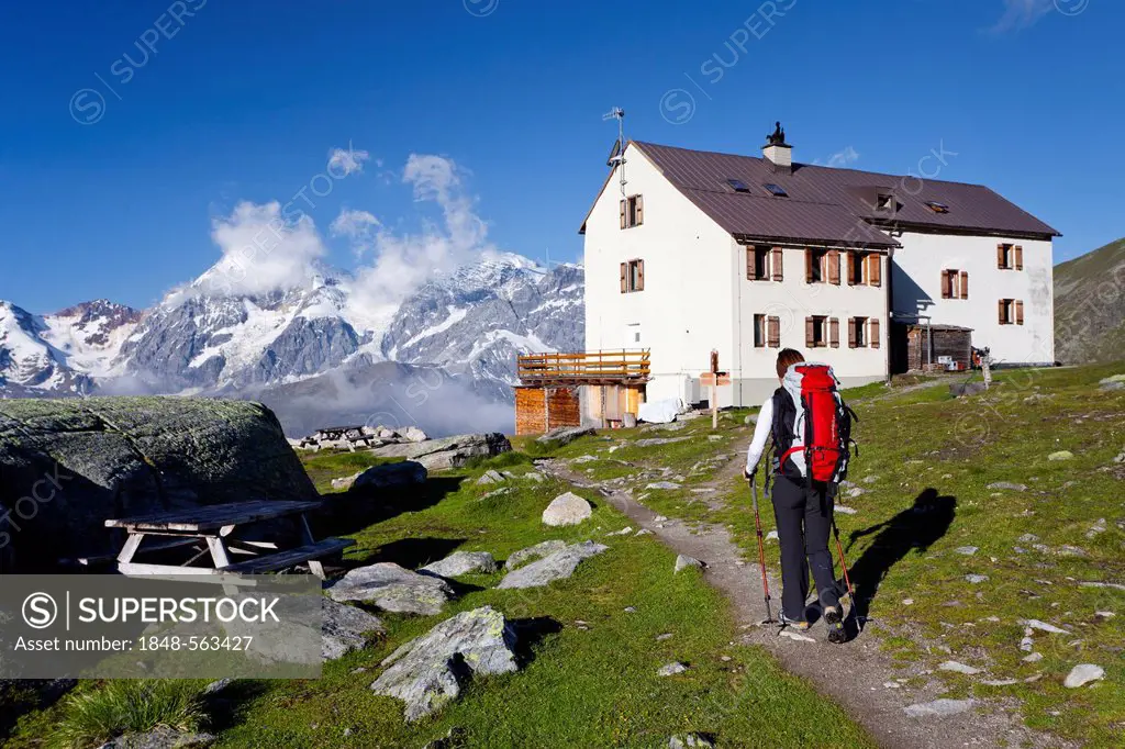 Hiker in front of the Duesseldorfhuette or Rifugio Serristori, view of Mt Ortler or Ortles, Mt Zebru and Mt Koenig or Gran Zebru, above Sulden, Solda,...