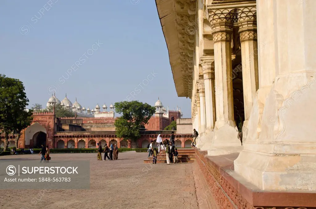 Detail of Agra Fort, Moti Mahal in the distance. Agra, Uttar Pradesh, India, Asia
