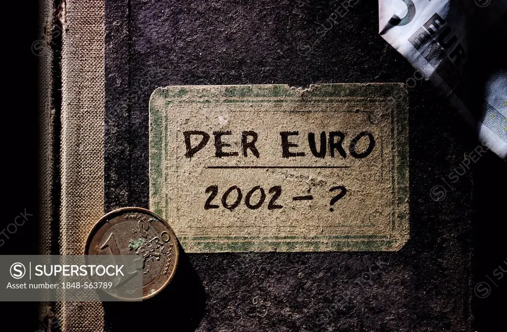 Old book with the inscription, Der Euro - 2002 - , symbolic image for the euro crisis