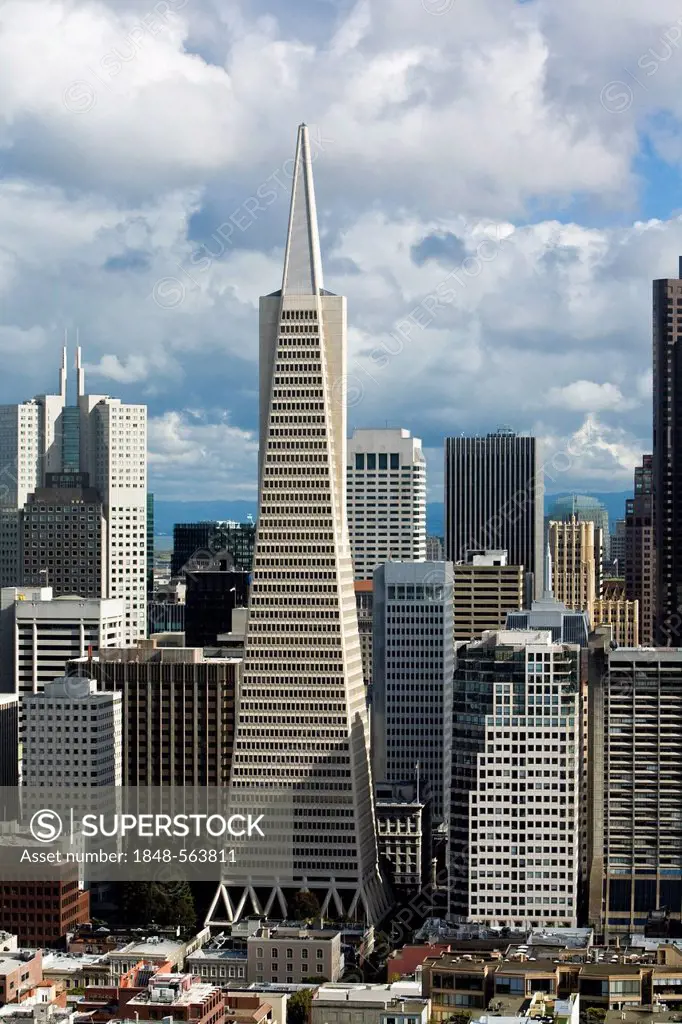 View from Coit Tower towards the Financial Center with the Transamerica Pyramid, San Francisco, California, USA