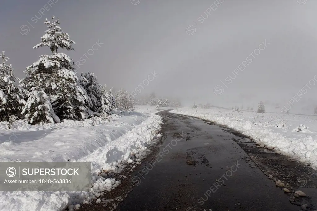 Road in snow, Pays de Sault, Drome, France, Europe
