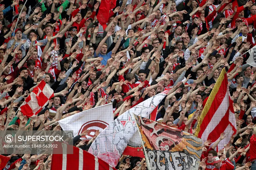 Fans of FSV Mainz 05 cheering, football Bundesliga, FSV Mainz 05 vs 1. FC Kaiserslautern, Coface-Arena, Mainz, Rhineland-Palatinate, Germany, Europe