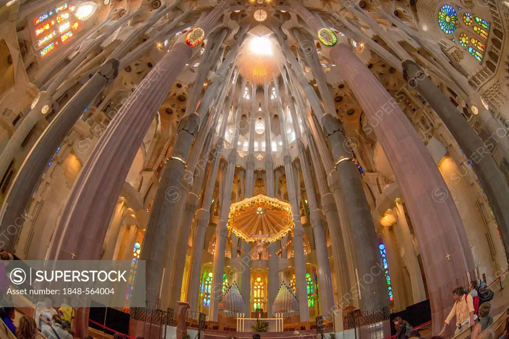 Church ceiling, altar with a baldachin or canopy of state, tree-shaped pillars and ceiling, interior of Sagrada Familia, Basílica i Temple Expiatori d...