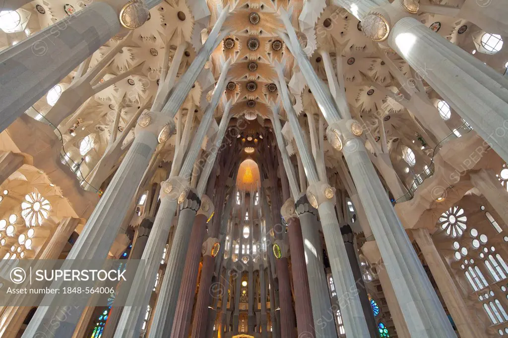Church ceiling, tree-shaped pillars and ceiling, interior of Sagrada Familia, Basílica i Temple Expiatori de la Sagrada Família, Basilica and Expiator...