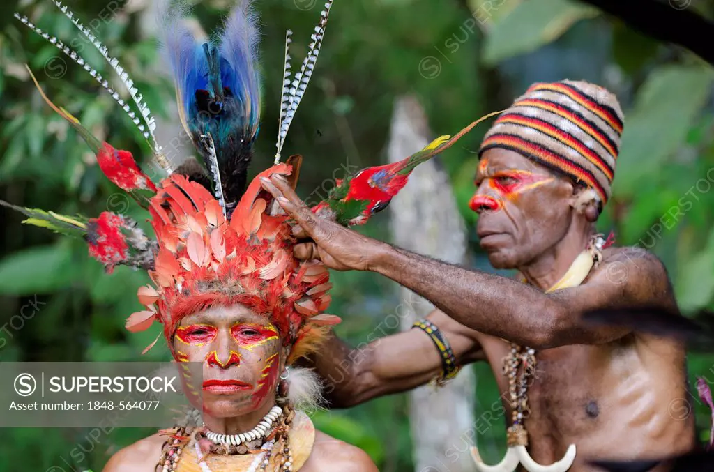 Jika tribal dancer having her headdress prepared, centrepiece is a whole skin of a Blue Bird of Paradise, man is wearing pig tusks, Paiya Sing-sing We...