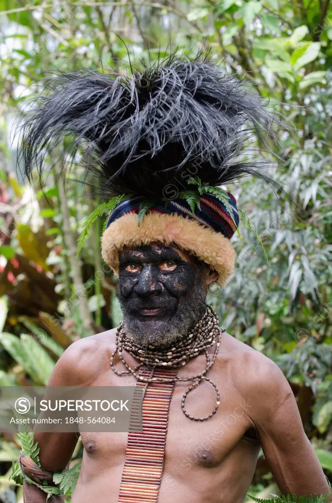 Clan chief at Paiya in Western Highlands with Cassowary headdress, Papua New Guinea, Oceania