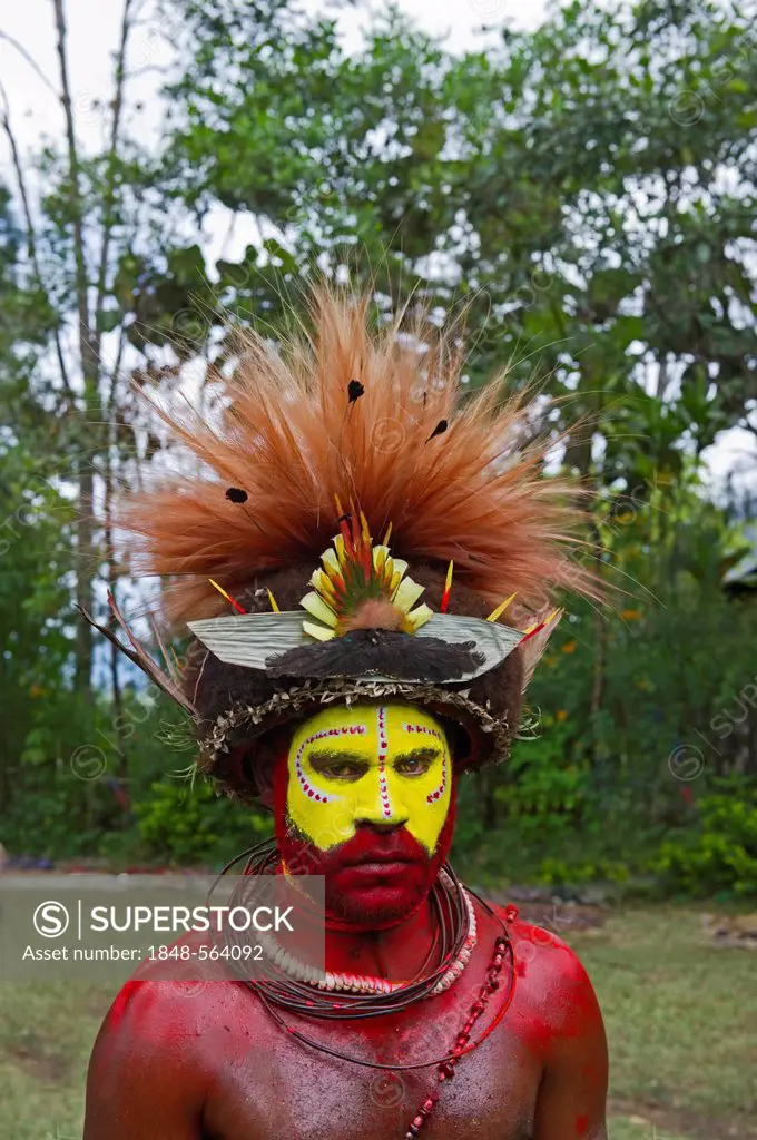 Huli Wigman from the Tari Valley in the Southern Highlands at a Sing-sing, wearing bird of paradise feathers and plumes, Mt Hagen, Papua New Guinea, O...