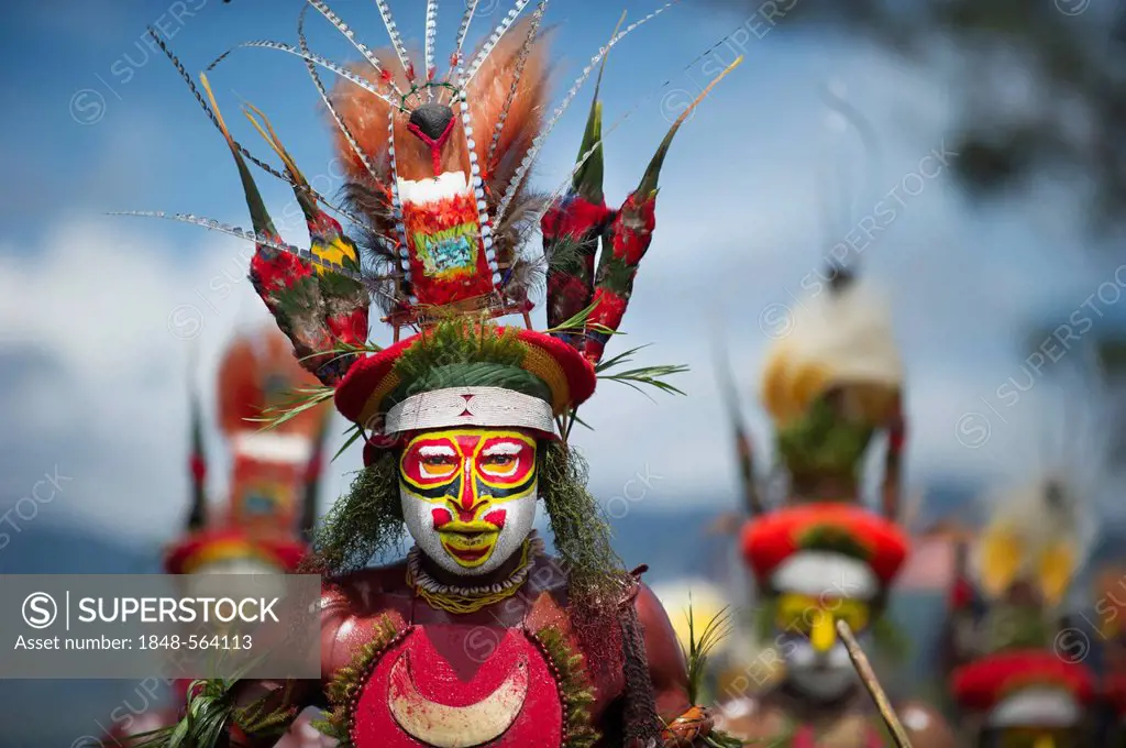 Tribal performer with King of Saxony plumes, Raggiana Bird of Paradise plumes and Papuan Lorikets in headdress, at a Sing-sing, Mt Hagen Show, Western...