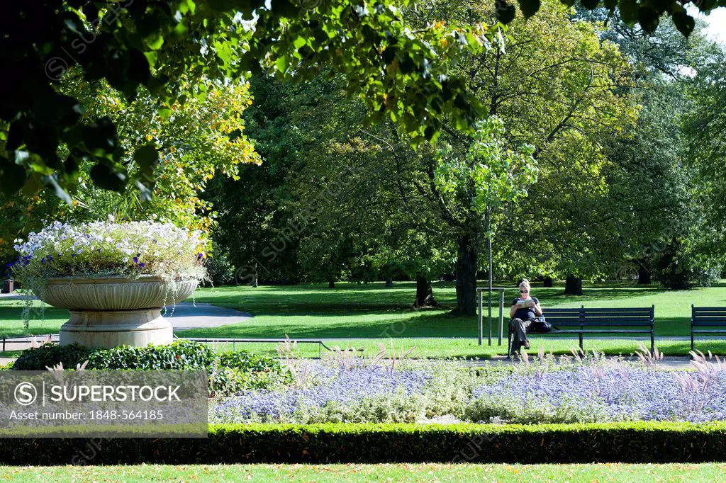 Regent's Park, London, England, United Kingdom, Europe