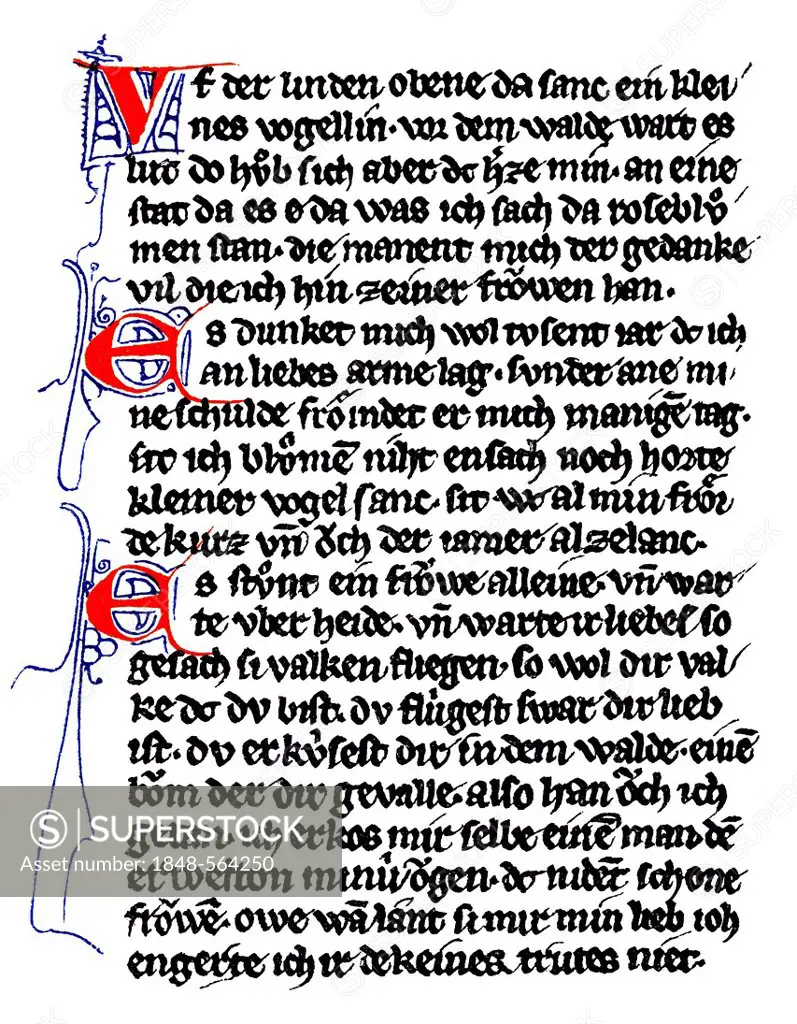 Historic print, manuscript by Dietmar von Aist, 1140 - 1171, minnesinger from Upper Austria, Danubian lyric poetry, German minnesang from the Parisian...