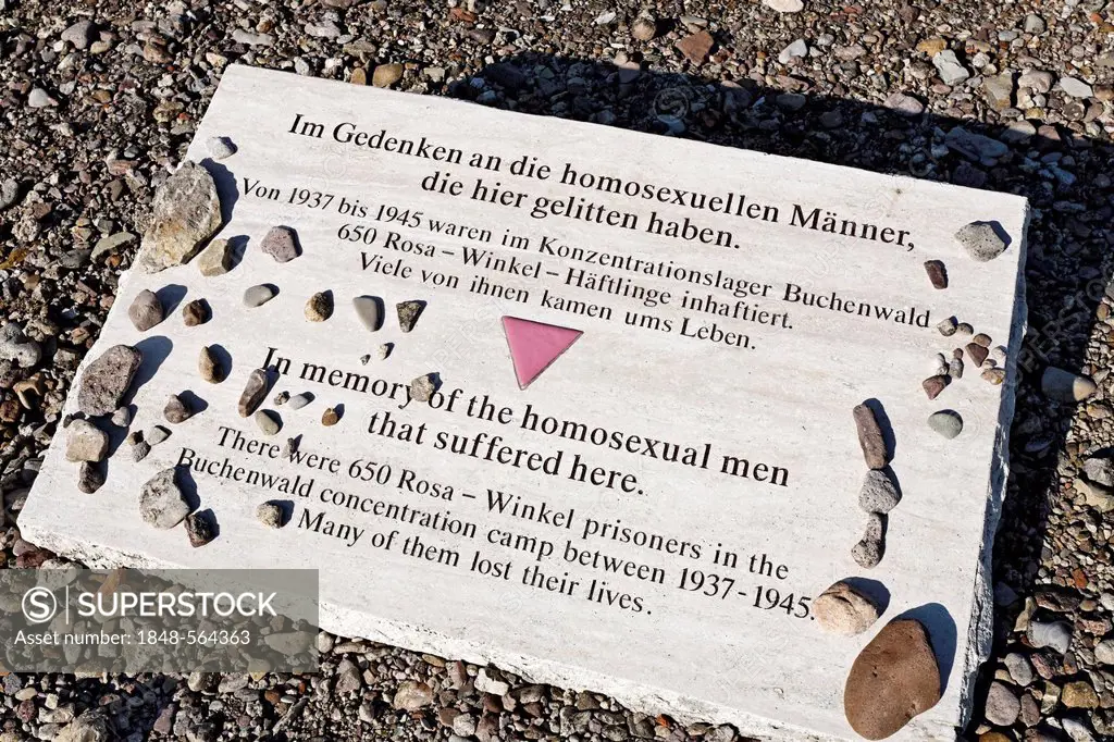 Memorial stone for homosexual men, pink triangle prisoners, Buchenwald memorial, former concentration camp near Weimar, Thuringia, Germany, Europe