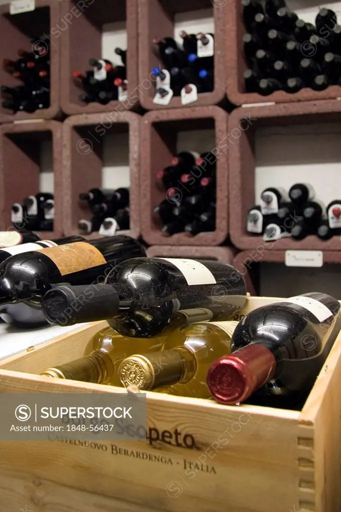 Bottles in a wine cellar in front of a wine rack