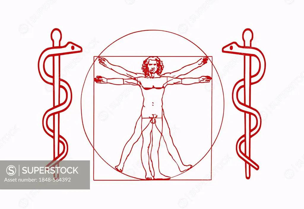2 Aesculapian snakes and the Vitruvian Man, symbol of TCM, Traditional Chinese Medicine