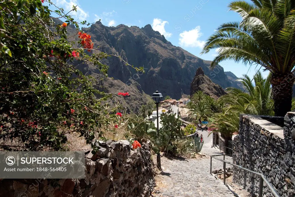 The mountain village of Masca, Teneriffe, Canary Islands, Spain, Europe