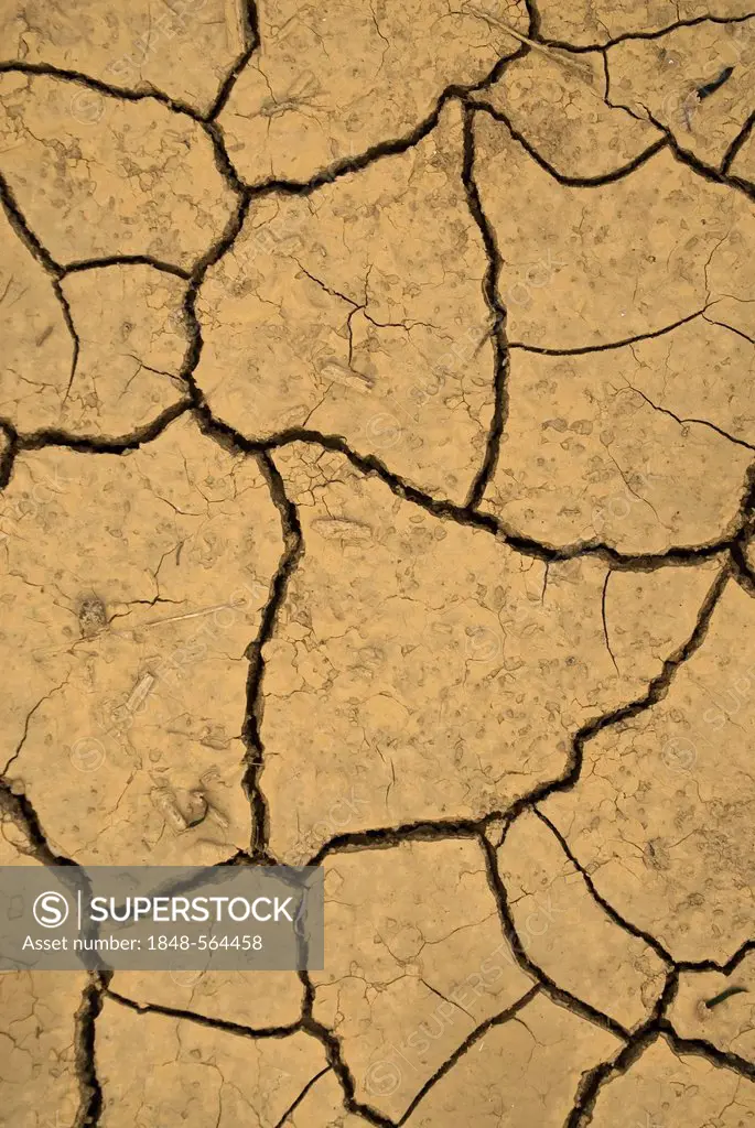 Dry, cracked mud, symbolic image for climate change, Linz am Rhein, Neuwied, Rhineland-Palatinate, Germany, Europe