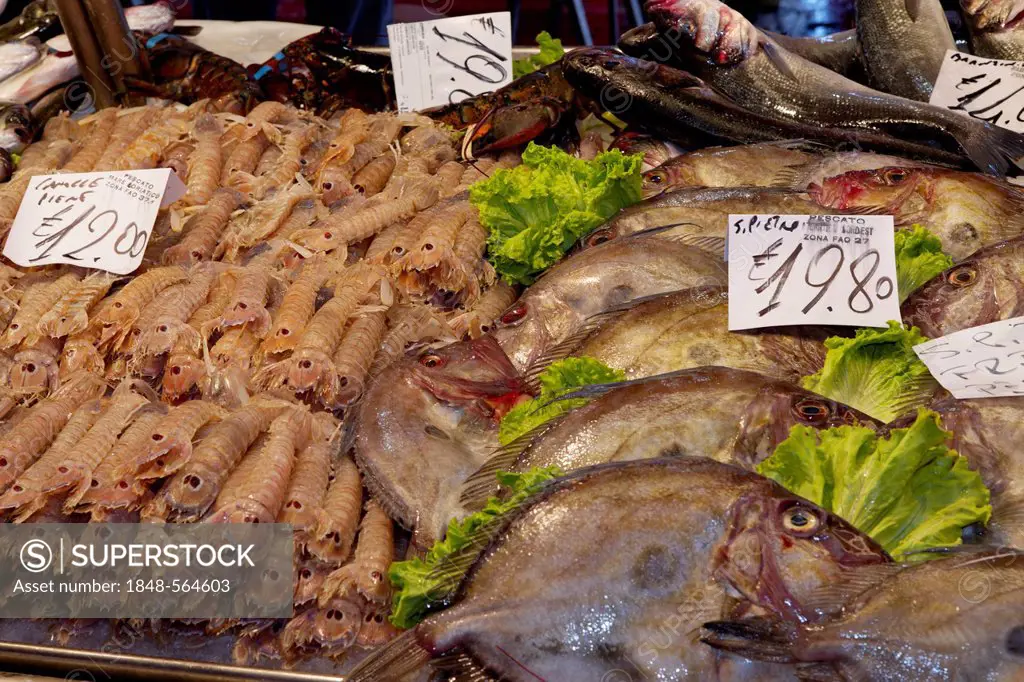 Fish market hall, Campo de la Pescaria, Rialto market, San Polo district, Venice, Venetia, Italy, Europe