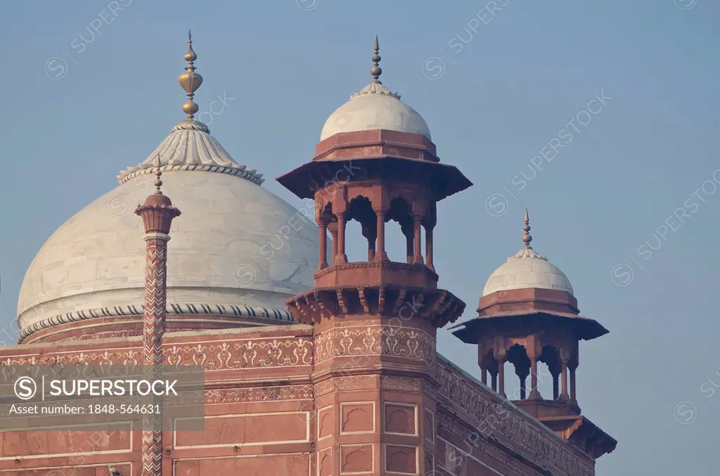 Detail of Taj Mahal, UNESCO World Heritage Site, Agra, Uttar Pradesh, India, Asia