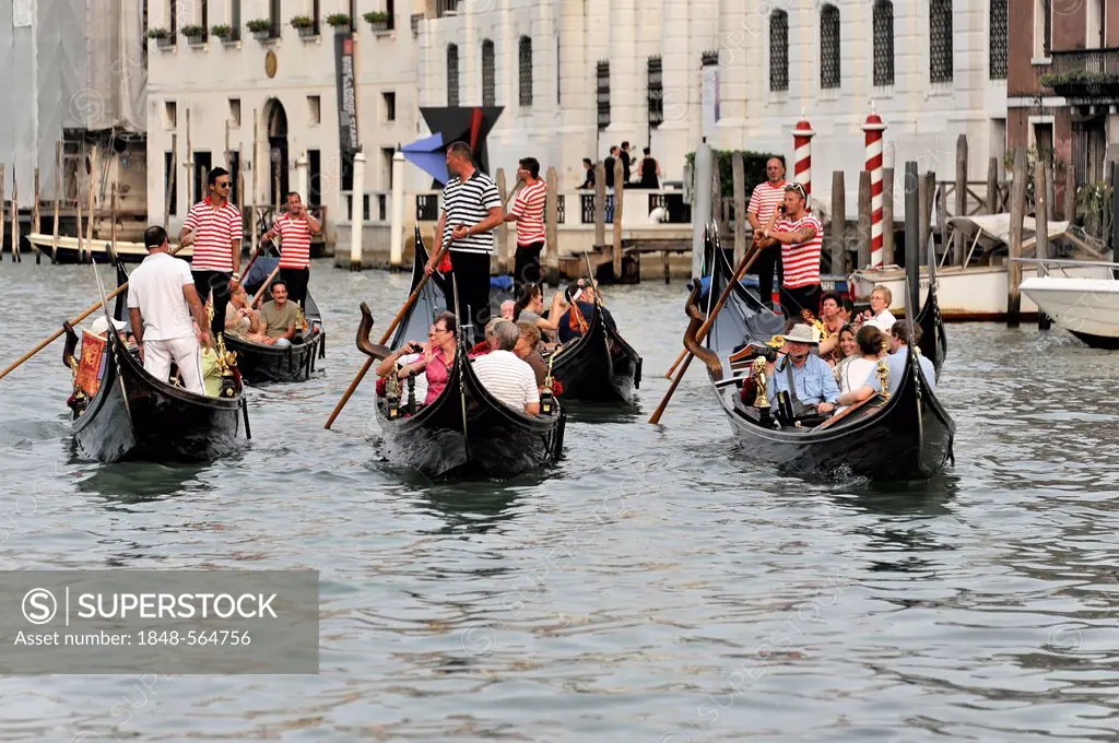 Grand Canal, gondolas with tourists in a tour group, Venice, Veneto, Italy, Europe