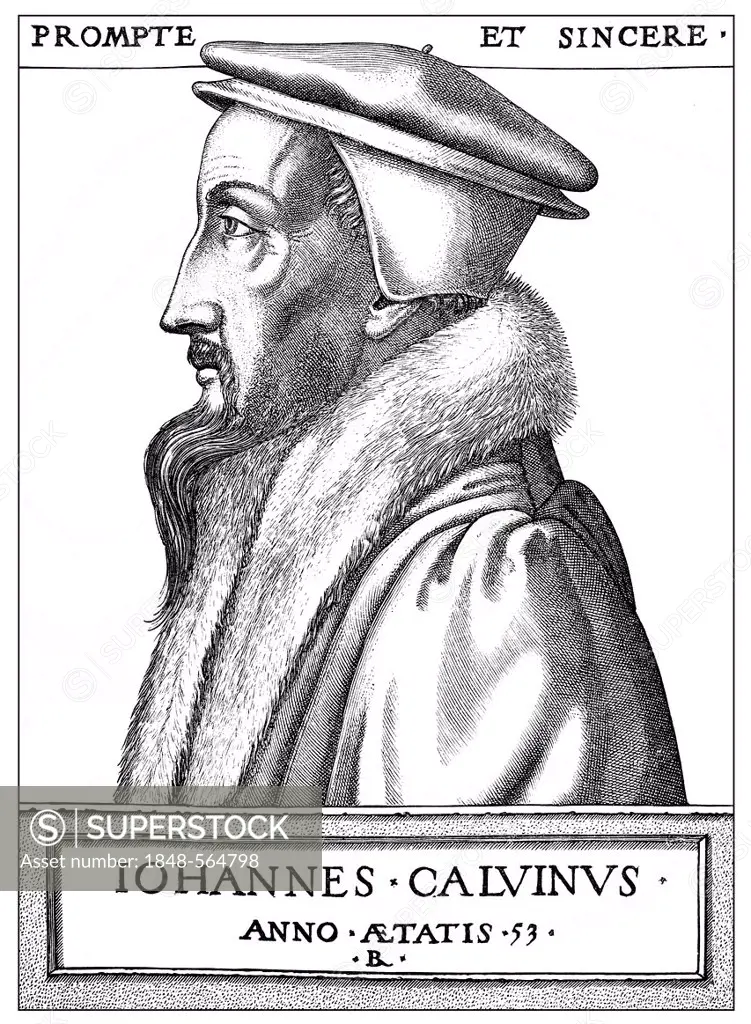 Historical print from the 19th century, portrait of Johannes Calvin or Jean Cauvin, 1509 - 1564, a French-born reformer and founder of Calvinism
