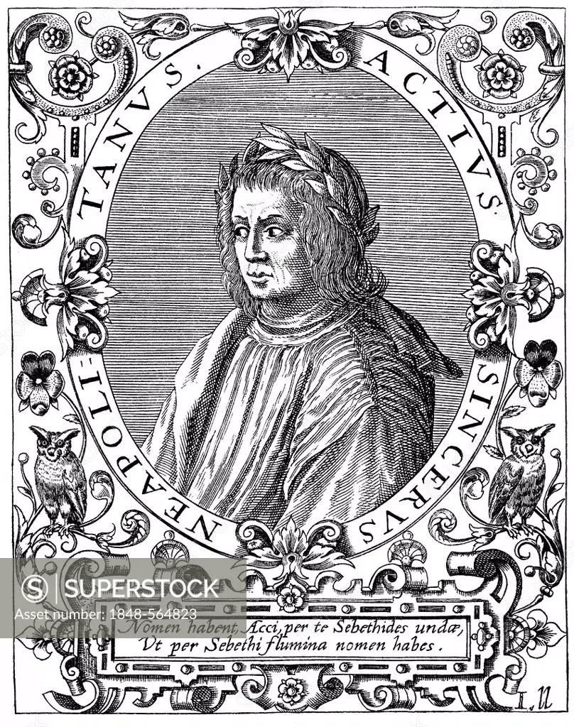 Historical print from the 19th century, portrait of Jacopo Sannazaro, 1458 -1530, a poet of the Renaissance