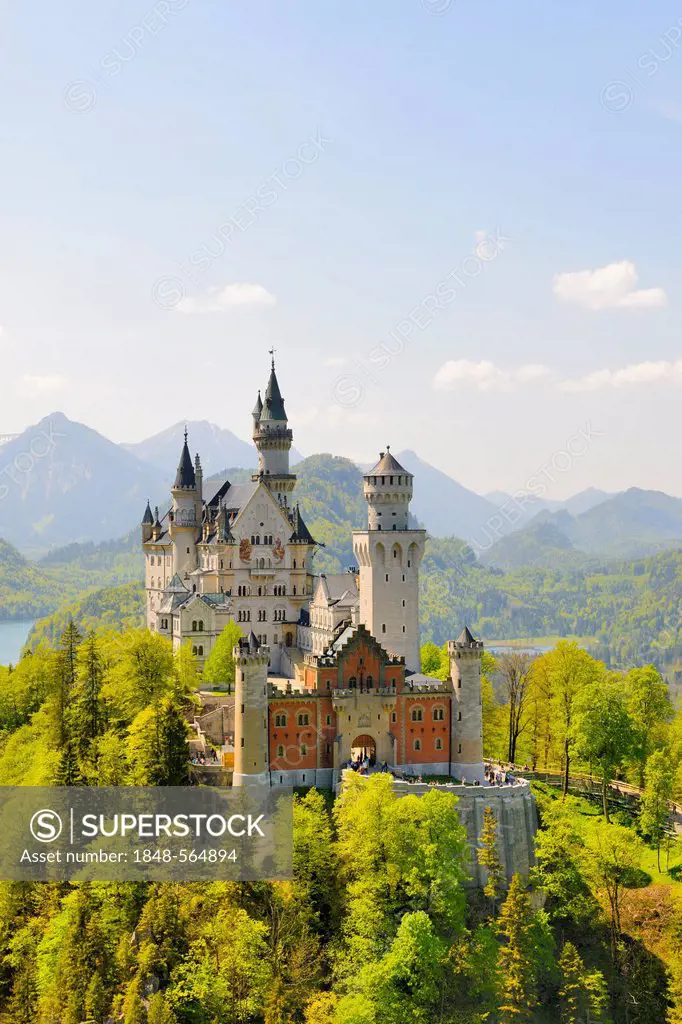 Schloss Neuschwanstein Castle near Fuessen, Ostallgaeu district, Allgaeu, Bavaria, Germany, Europe