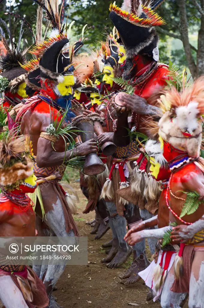 Huli Wigmen from the Tari Valley in the Southern Highlands, wearing bird of paradise feathers and plumes, at a Sing-sing, Mt Hagen, Papua New Guinea, ...