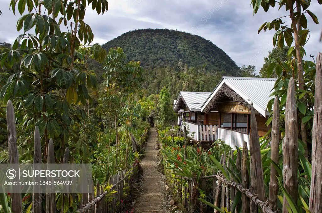 Magic Mountain Lodge at Paiya near Mt Hagen, Western Highlands, Papua New Guinea, Oceania