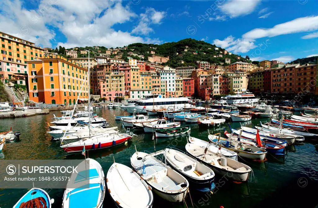 Boats, village of Camogli, Gulf of Genoa, Italy, Europe