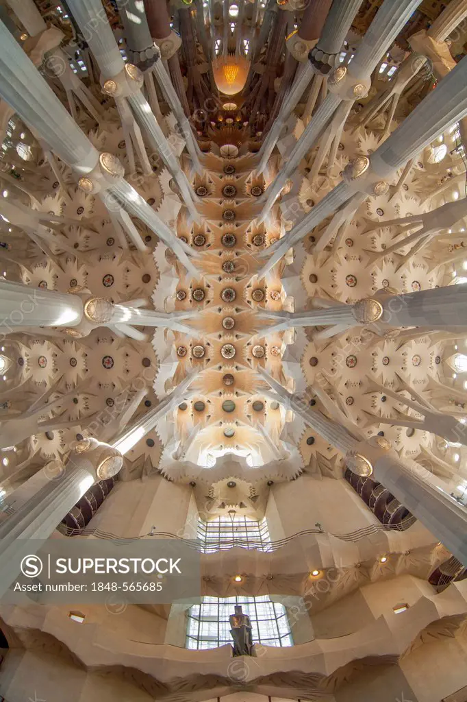 Church ceiling, tree-shaped pillars and ceiling, interior of Sagrada Familia, Basílica i Temple Expiatori de la Sagrada Família, Basilica and Expiator...