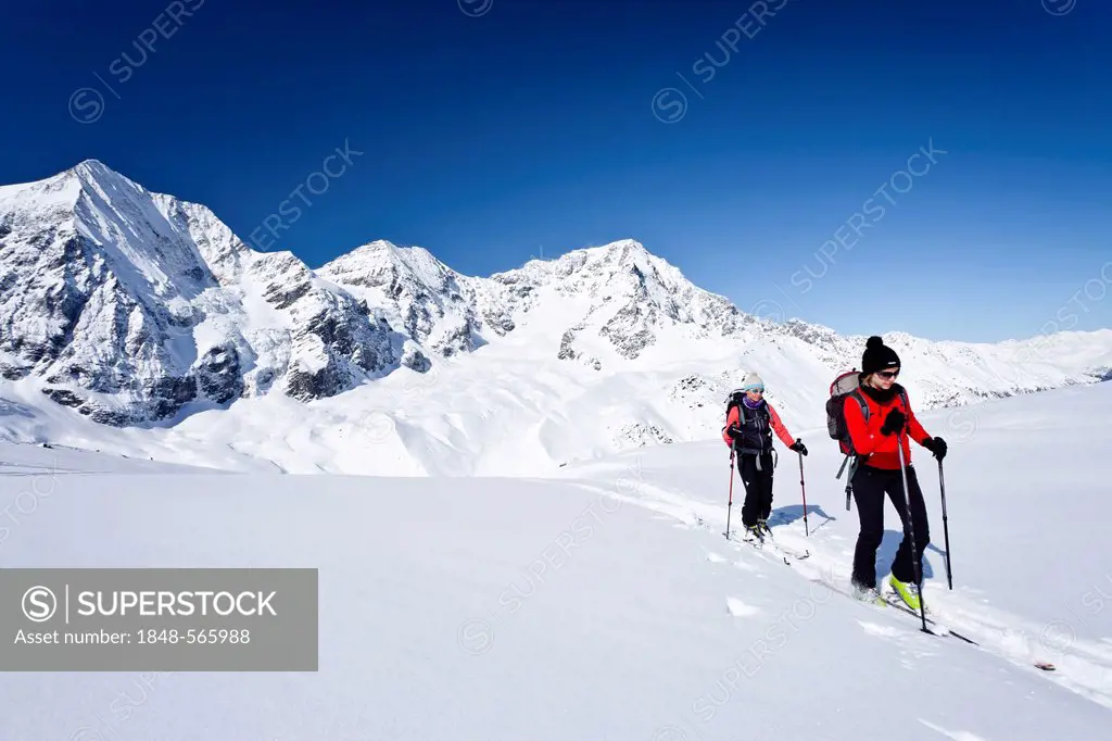 Ski tourers ascending Mt Hintere Schoentaufspitze or Punta Beltovo di Dentro, Mt Koenigsspitze or Grand Zebru, Mt Ortler or Ortles and Mt Zebru in the...