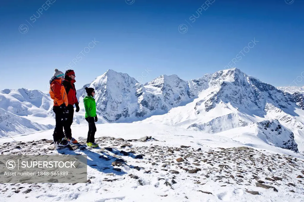 Ski tourers on the summit of Mt Hintere Schoentaufspitze or Punta Beltovo di Dentro, Sulden, Solda, in winter, Mt Koenigsspitze or Grand Zebru, Mt Ort...