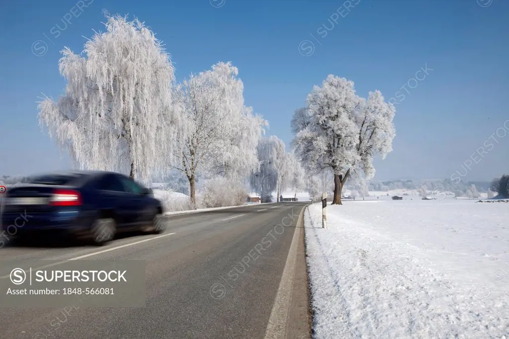 Country road near Murnau in winter, Bavaria, Germany, Europe