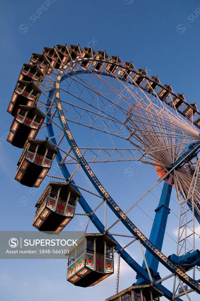 Ferris wheel, Oktoberfest, Wiesn, dawn, Munich, Upper Bavaria, Germany, Europe