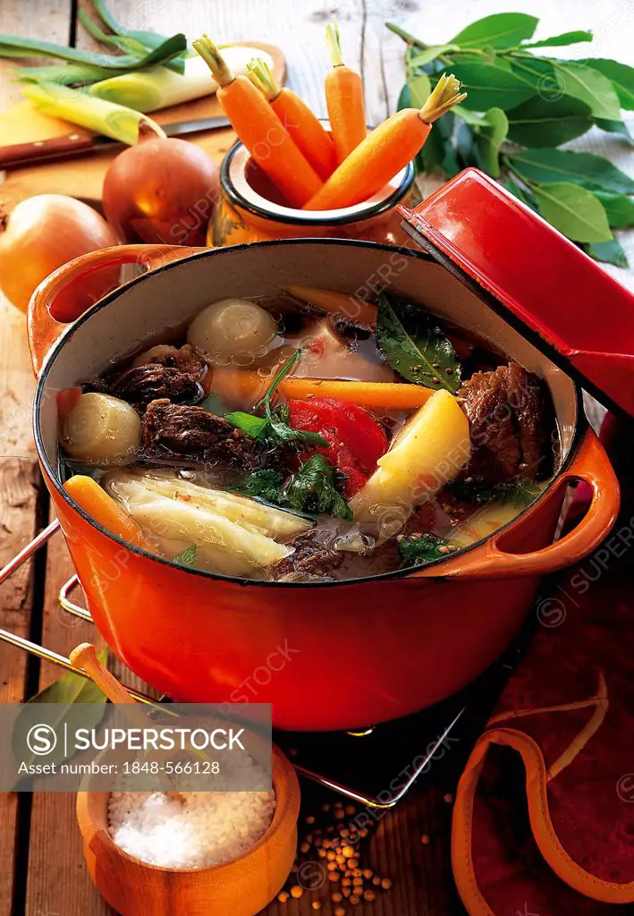 Pot au Feu, boiled beef with root vegetables and cabbage, France