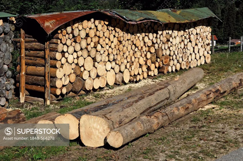Sawn logs, 1 metre, covered and stacked, Ramsau, Upper Bavaria, Bavaria, Germany, Europe